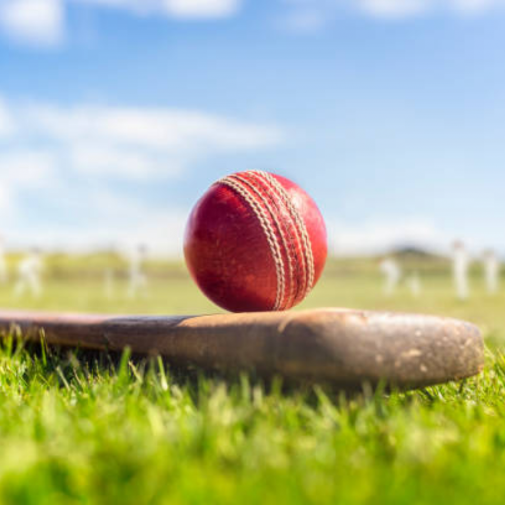 Adel Cricket